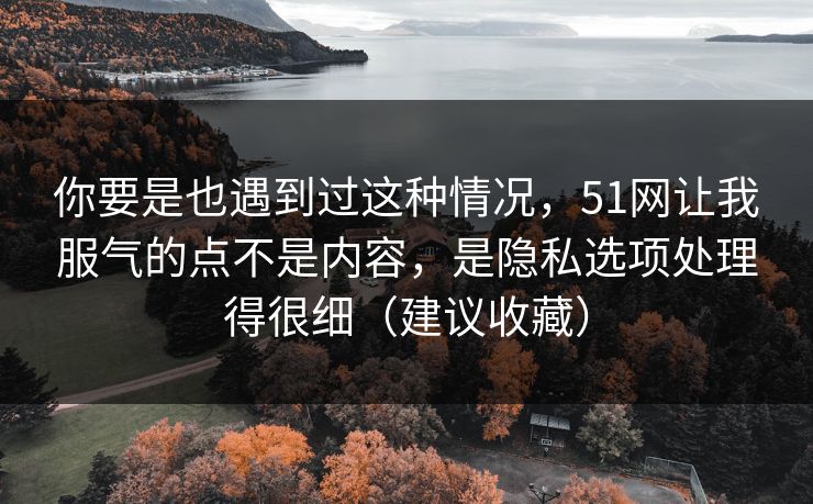 你要是也遇到过这种情况，51网让我服气的点不是内容，是隐私选项处理得很细（建议收藏）